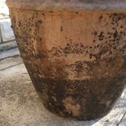 Ancient Orcio dà olio italiano