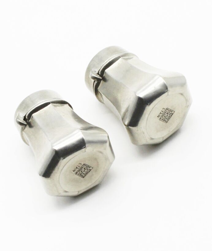 Salt and pepper-courting paris mansion