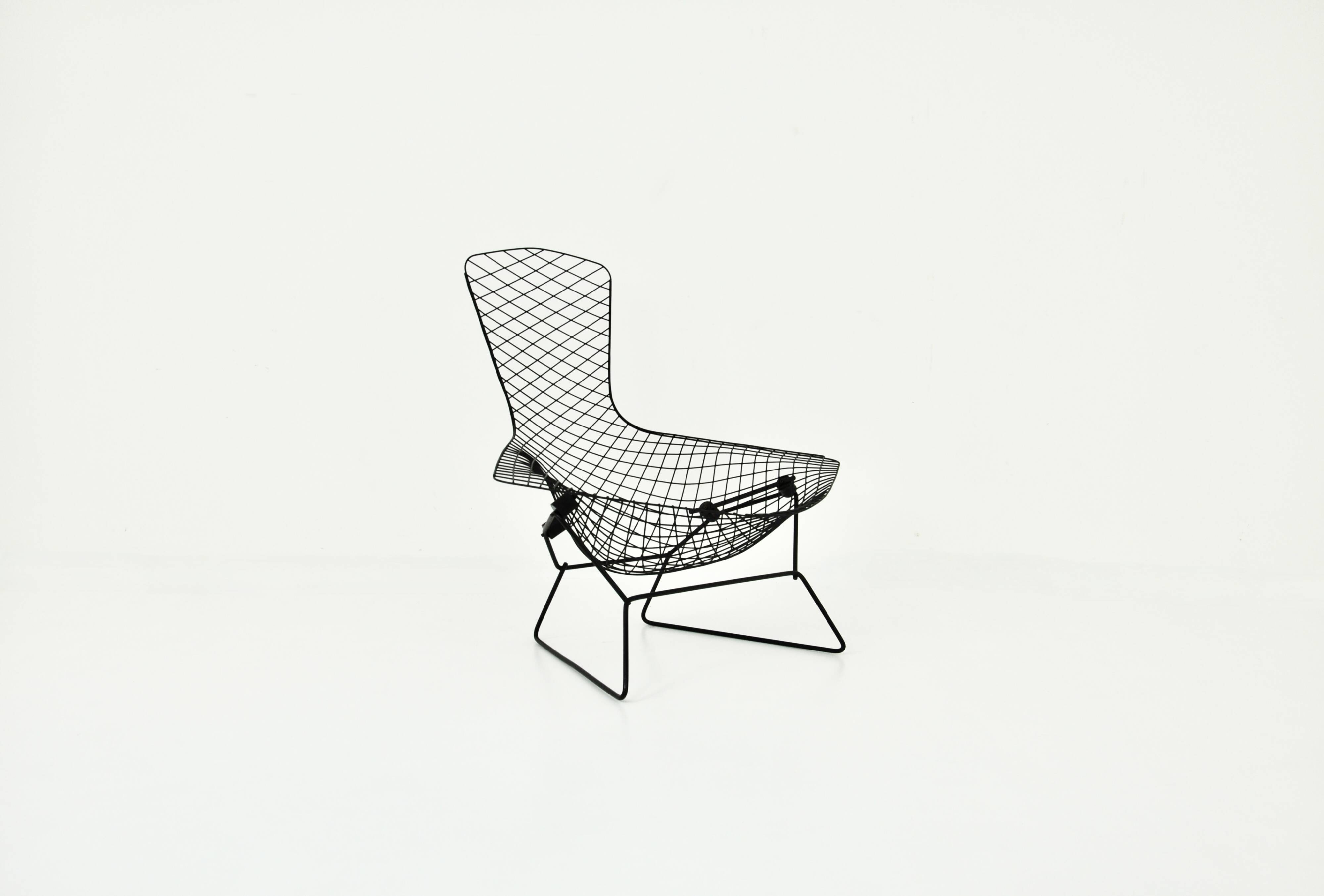 Fauteuil Bird de Harry Bertoia pour Knoll, 1960S