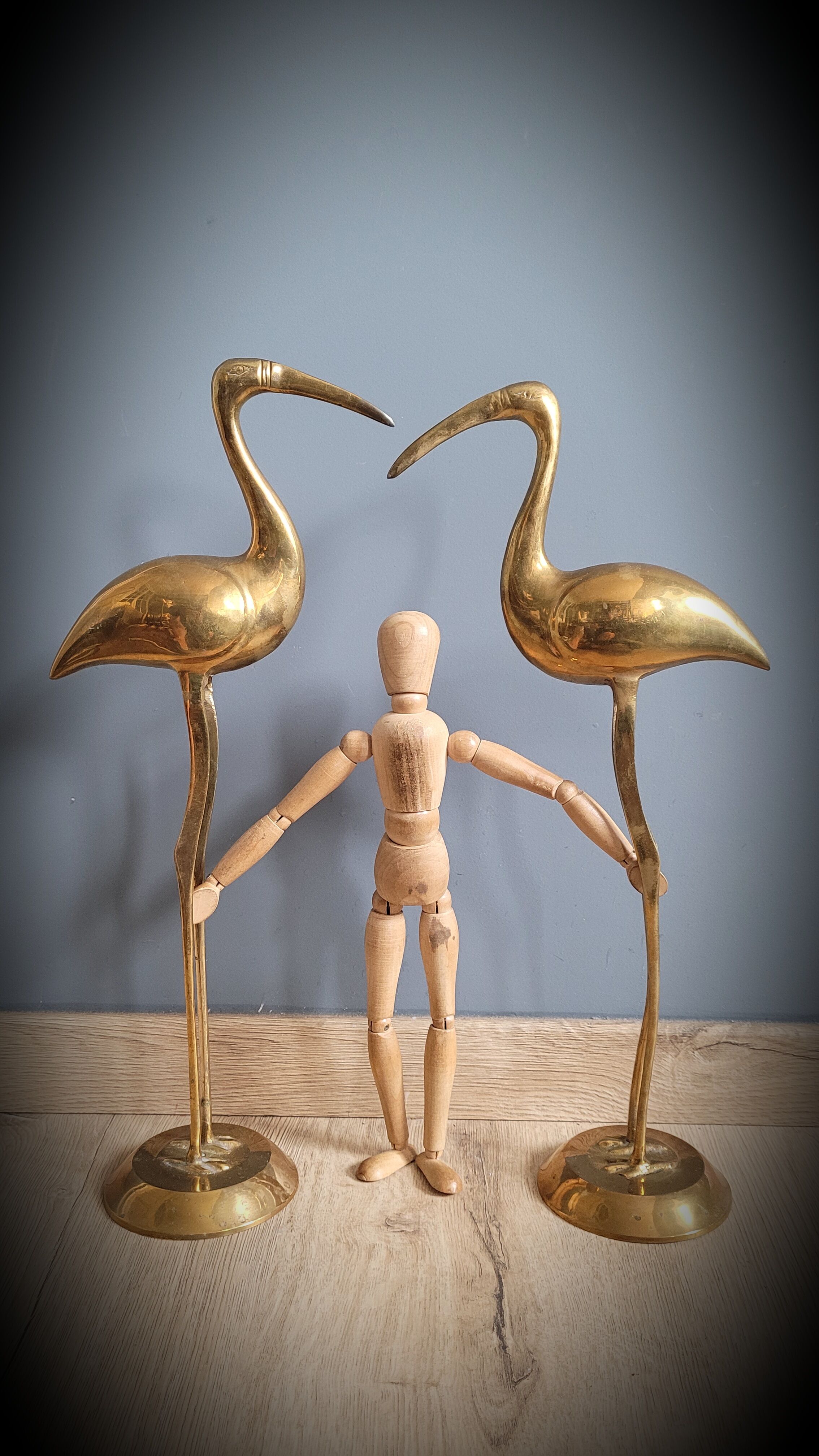 Duo great brass ibis