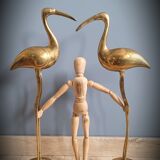 Duo great brass ibis