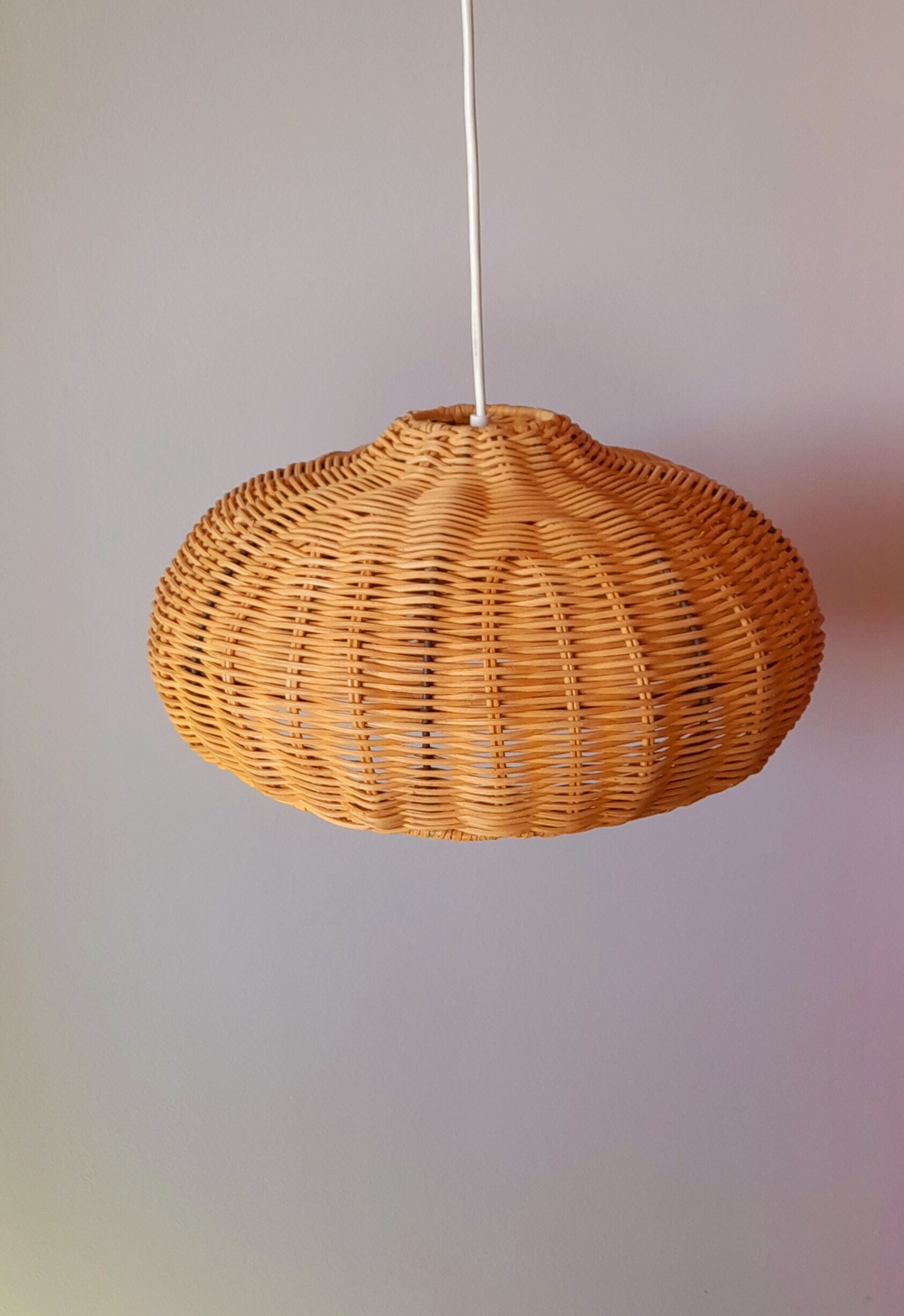 Braided wicker suspension