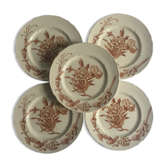 5 old plates
