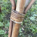 Rattan garden furniture