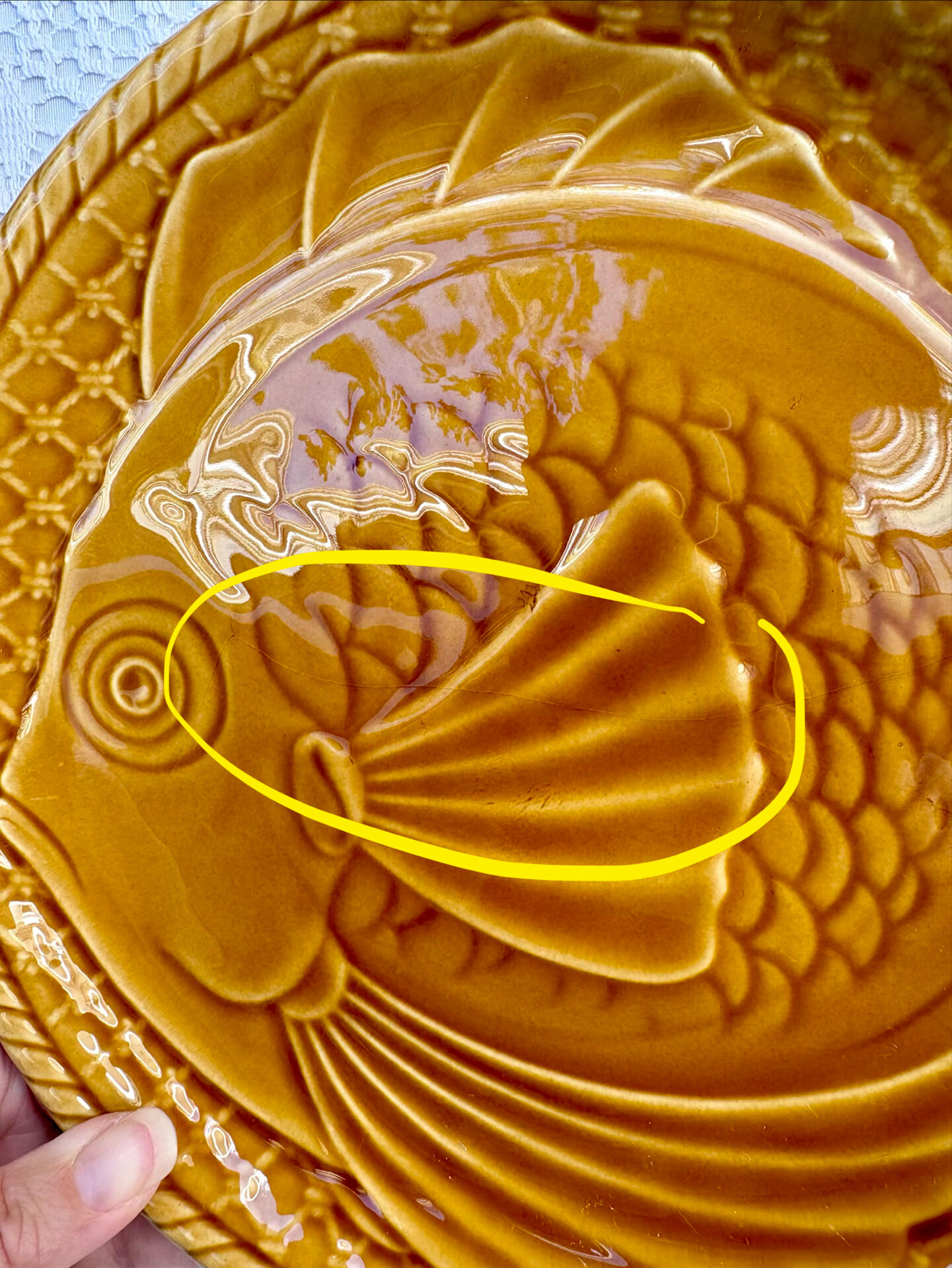 6 large barbotine plates gien fish