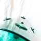 Artist Vase in Blown Glass Marcou Lava Edition