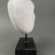 Plaster shell on blackened wooden base cabinet of curiosities XXth