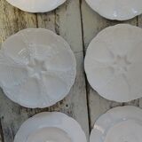 6 oyster plates 30123 porcelain white cnp france