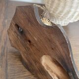 Horns on base, cabinet of curiosities