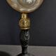 Cabinet of Curiosities pearly shell turbo imperialis on base