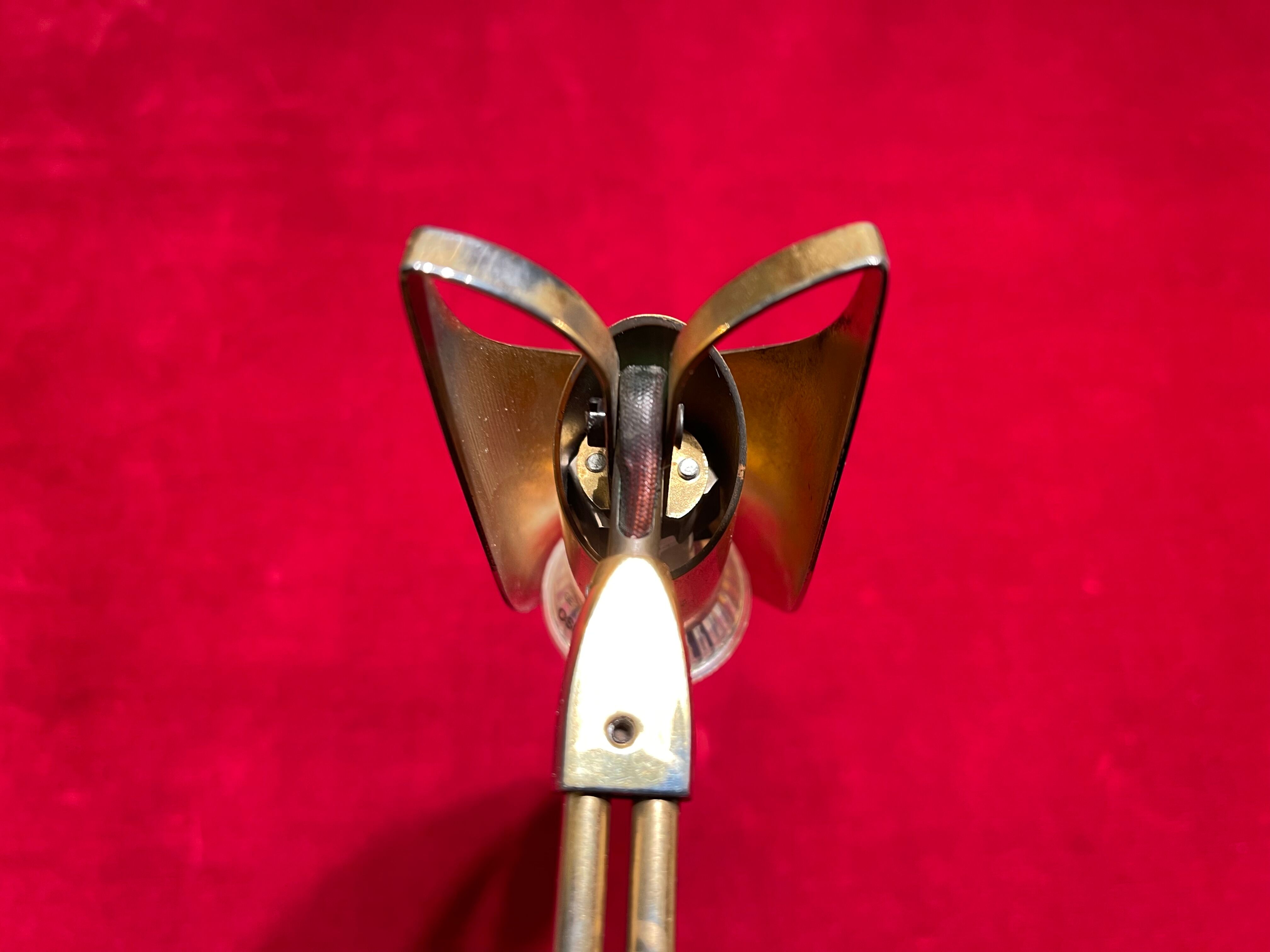 Phoenix brass picture light