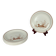 Set of 6 Vintage Churchill England Dinner Plates – Duck Motif