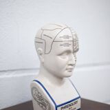 Porcelain bust, Fowler phrenology head, cabinet of curiosities, collection