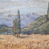 Wheat fields