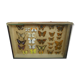 Frame old butterflies 1920 under glass