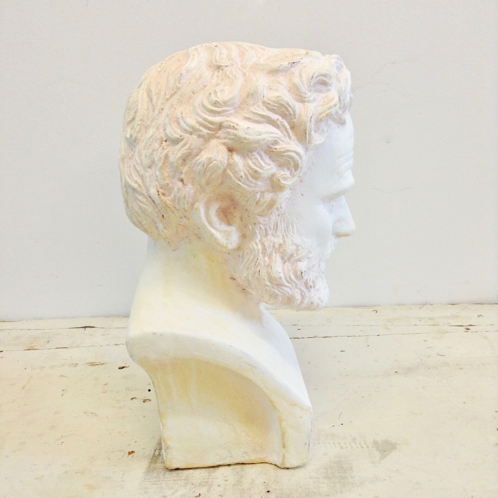 Greek plaster bust