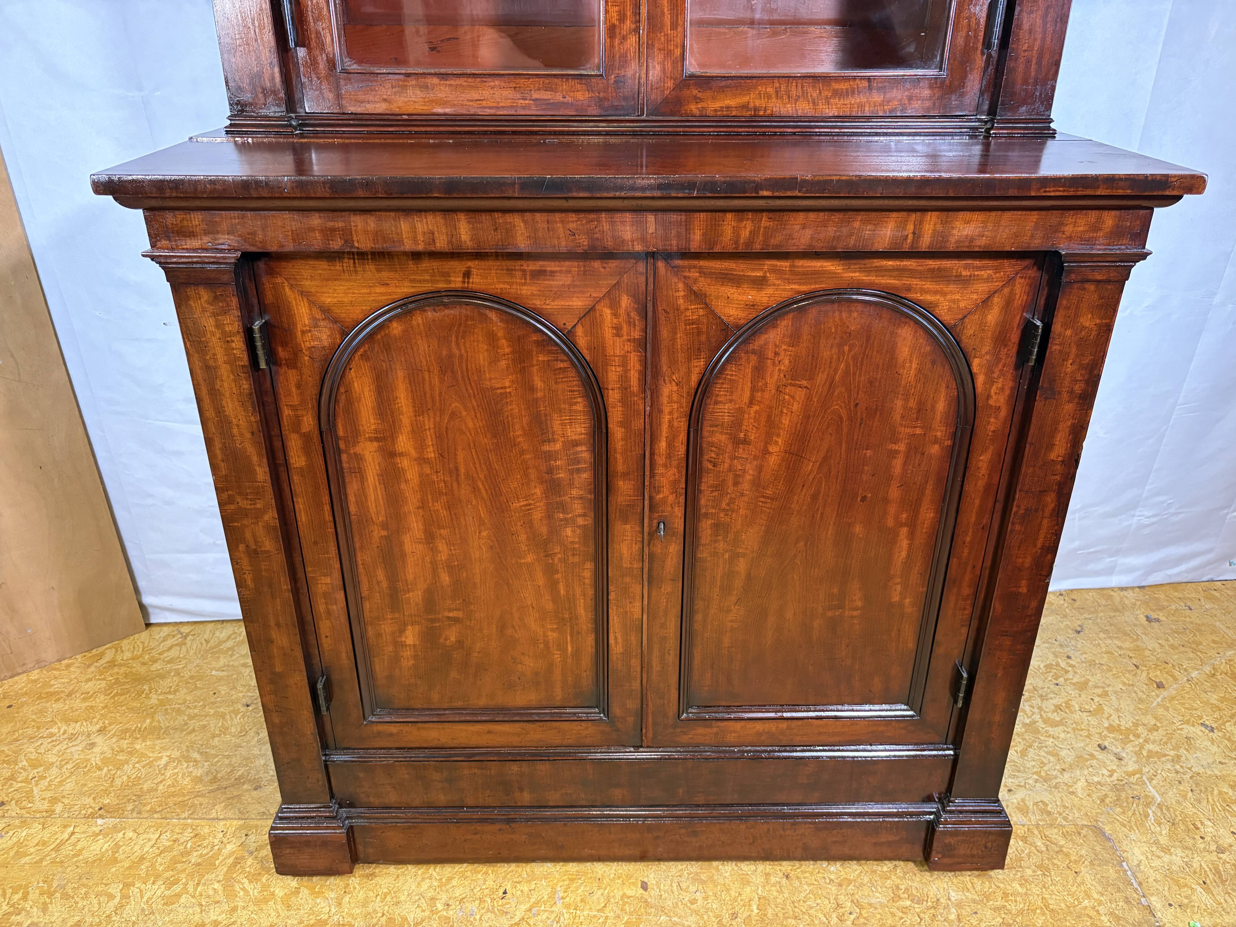Exceptional William IV Apothecary Cabinet / Chemist Shop Counter Circa 1830