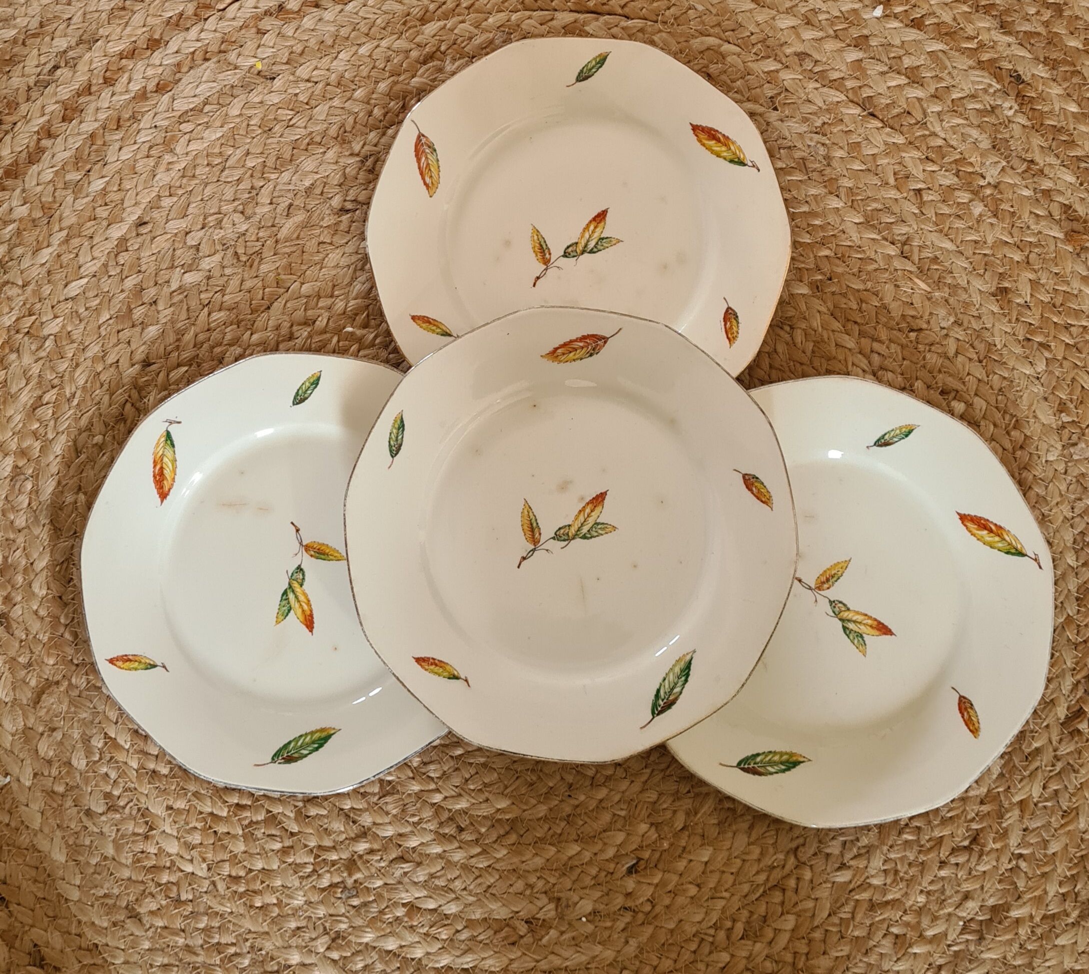 Flat plates opaque porcelain Digoin