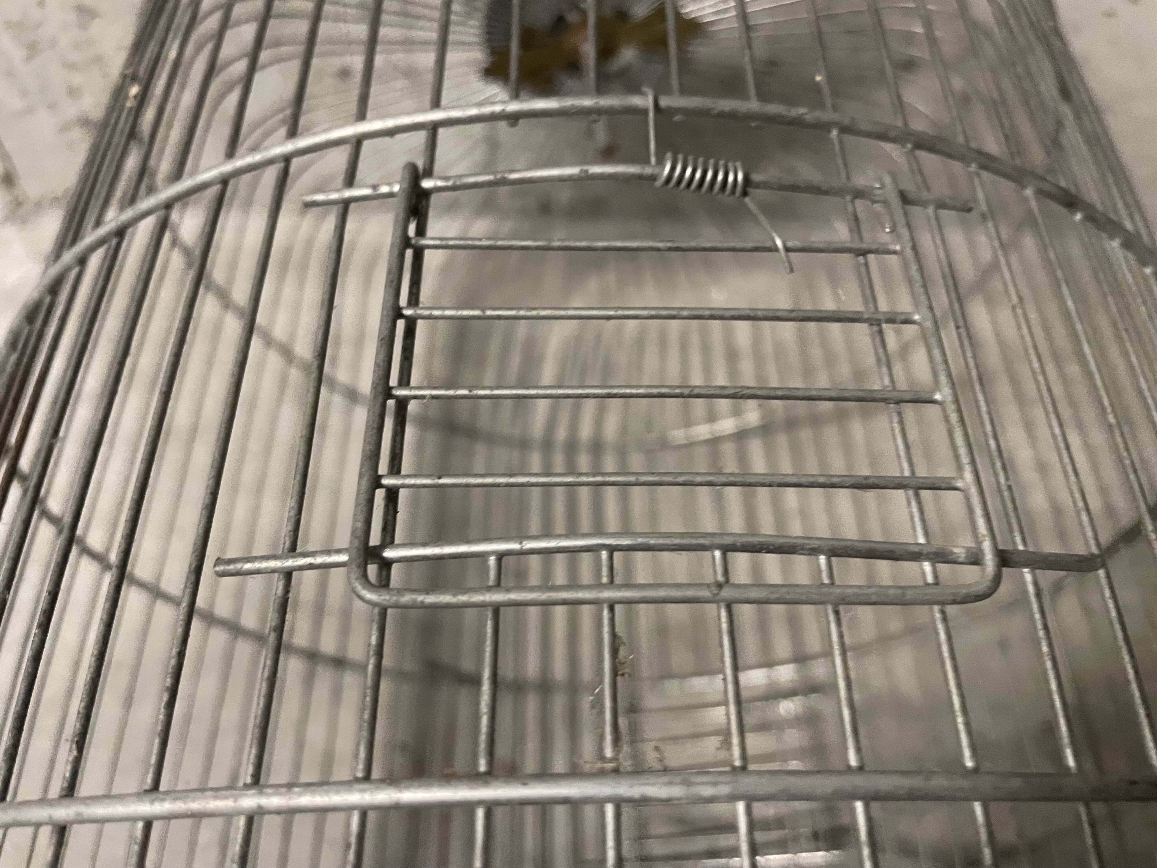 50s bird cage