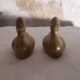 Canards laiton