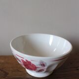 Old standing bowl pink red blue foliage