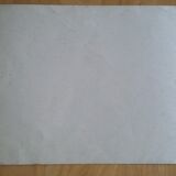 The dwarf: playback picture