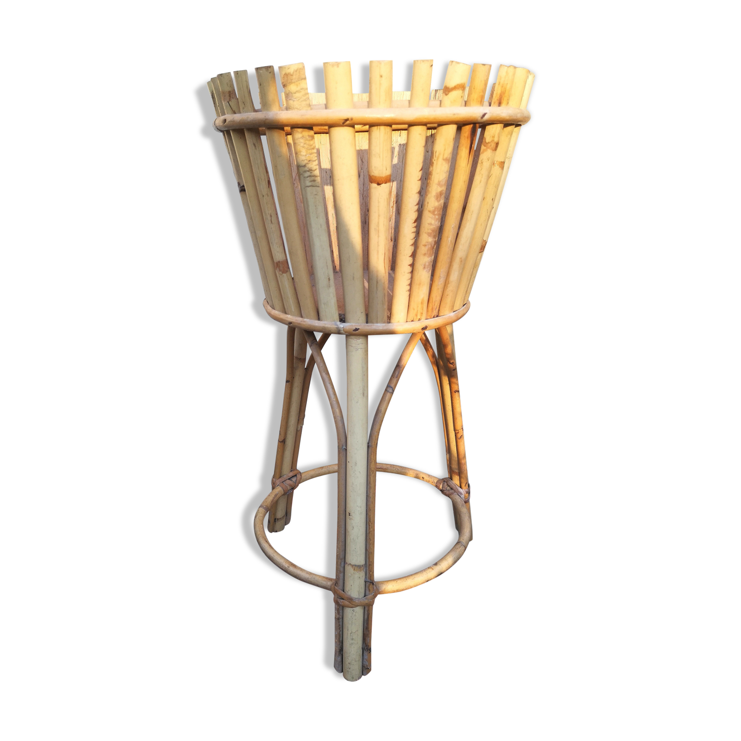 Rattan and bamboo holder plants