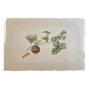 La Roche Laffitte (Born in 1943) - Watercolour drawing on silk - Cucumis