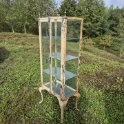 Ancienne vitrine de chirurgien