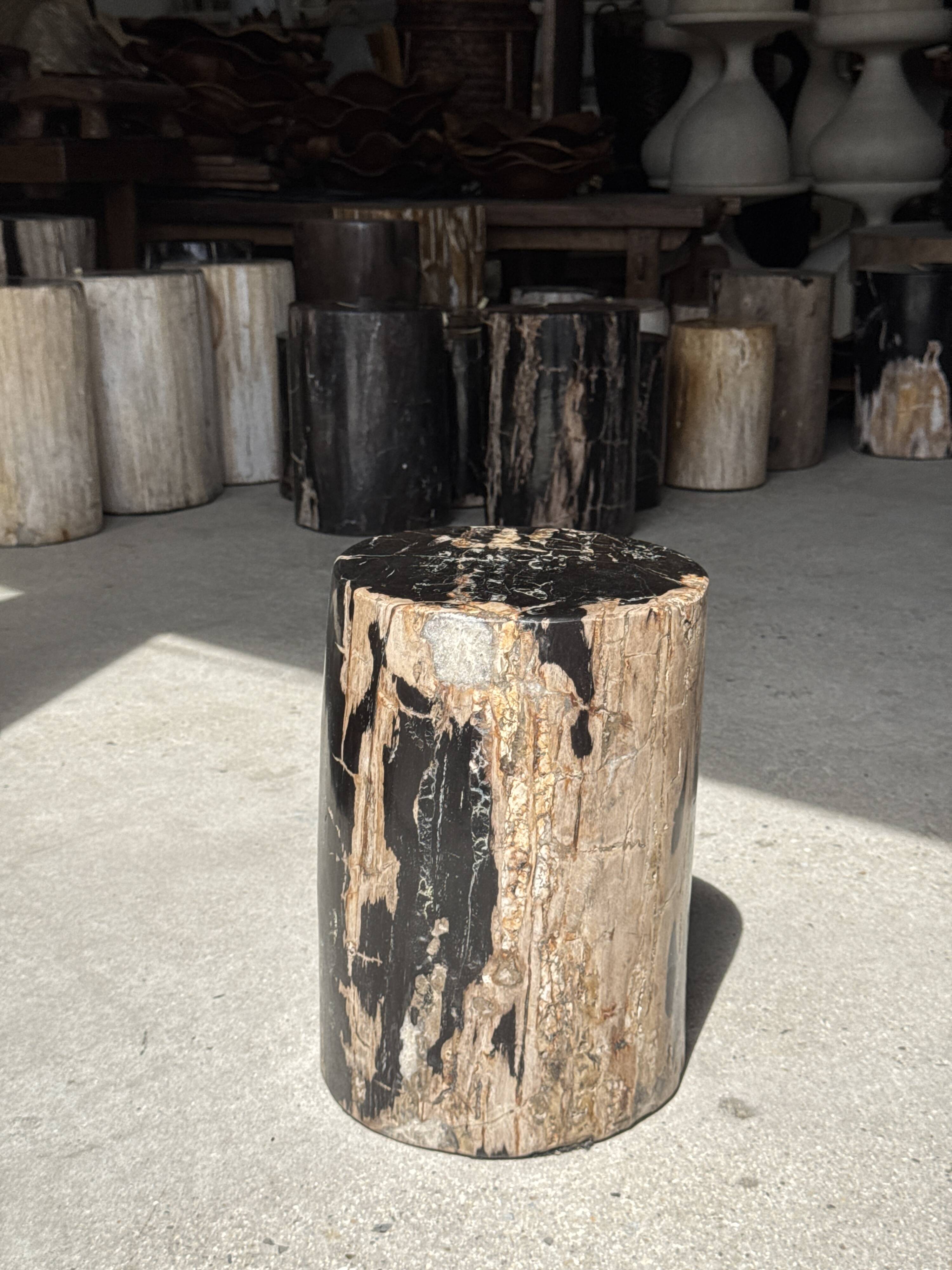 Black petrified wood side table with beige side H35 D24 - 3352
