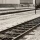Photographie argentique d'artiste