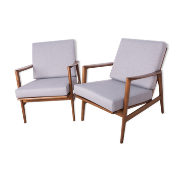 Model 300-139 Armchairs from Swarzędzka, 1960s, Set of 2