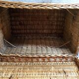 Wicker trunk