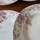 Set of 6 antique red Terre de Fer plates St Amand Hamage model