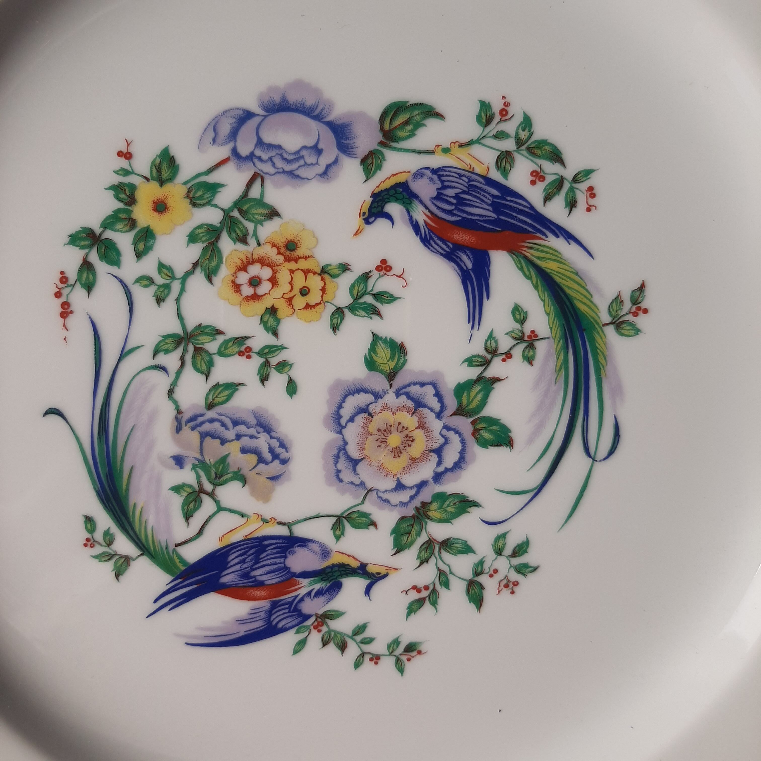 Large bird of paradise presentation plate
