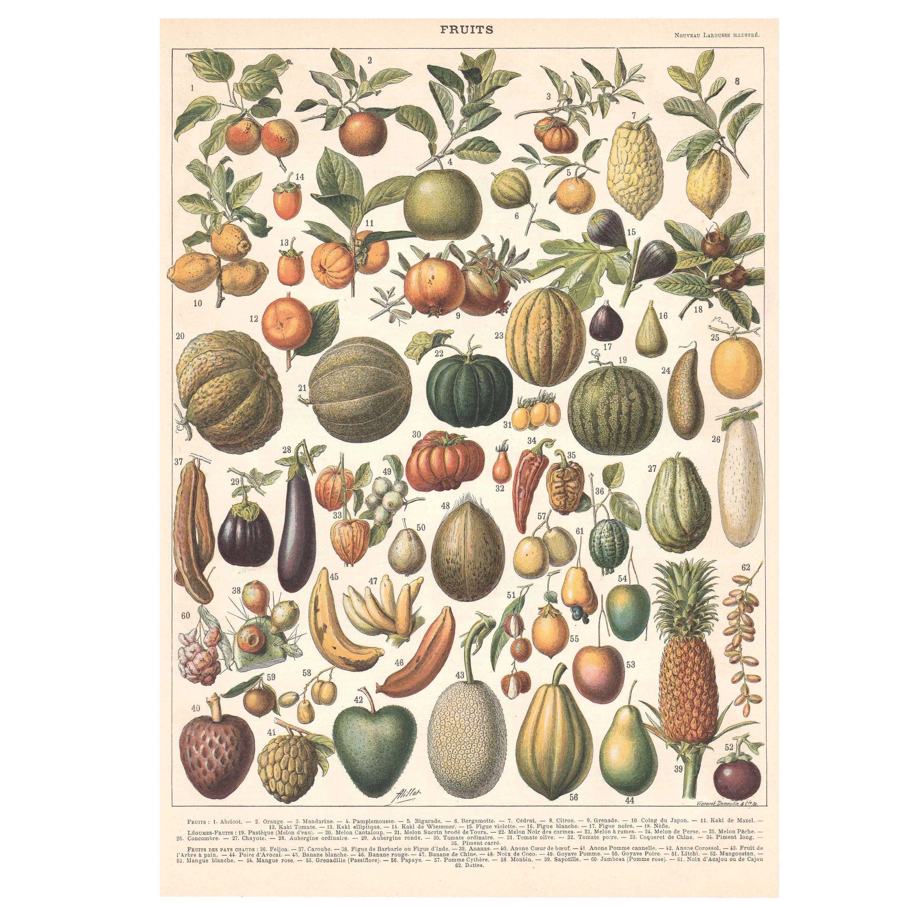 Old plate on fruits 1897