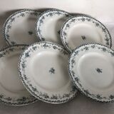 6 flat plates - Saint Amand - Argenton model