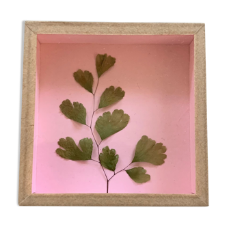 Miniature frame dried leaf