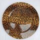 5 large flat plastic plates