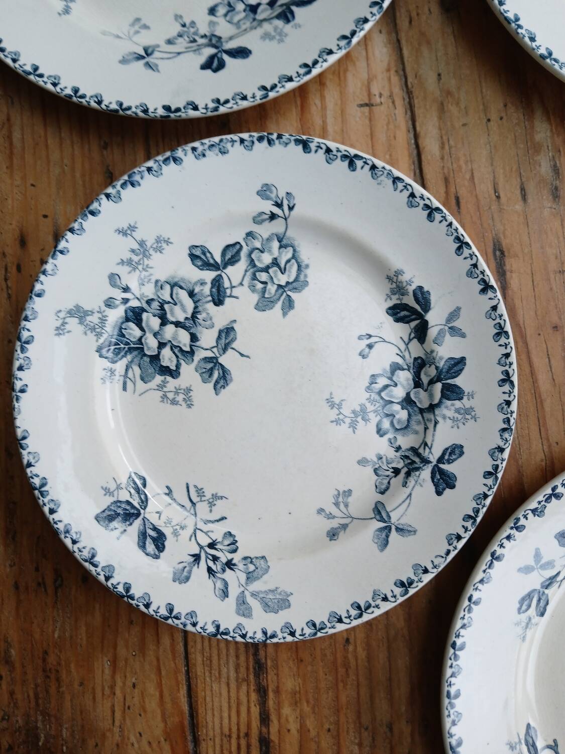Set of 6 Terre de Fer plates, Acacia model