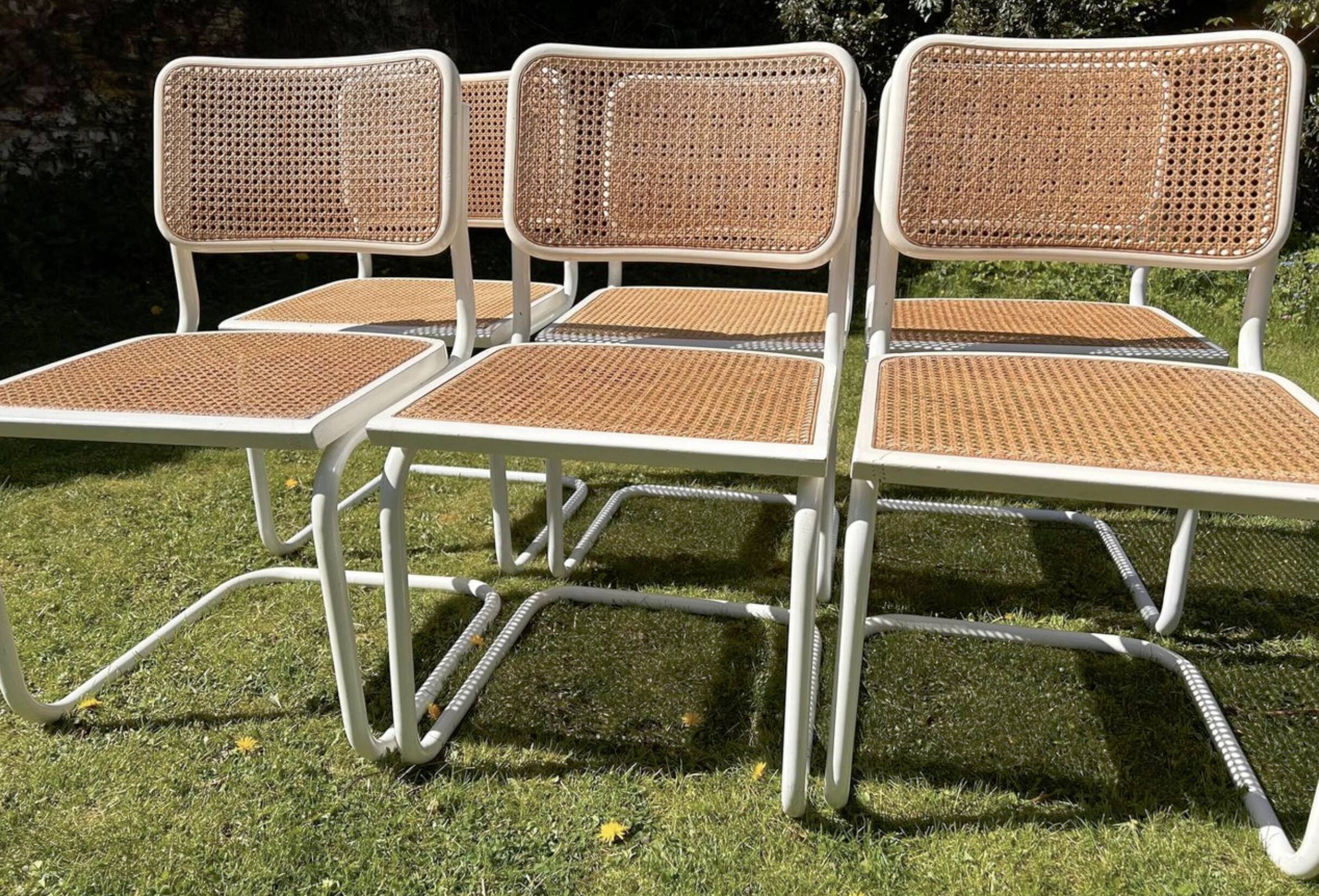 6 chaises Cesca