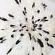 Juju hat blanc moucheté 75 cm