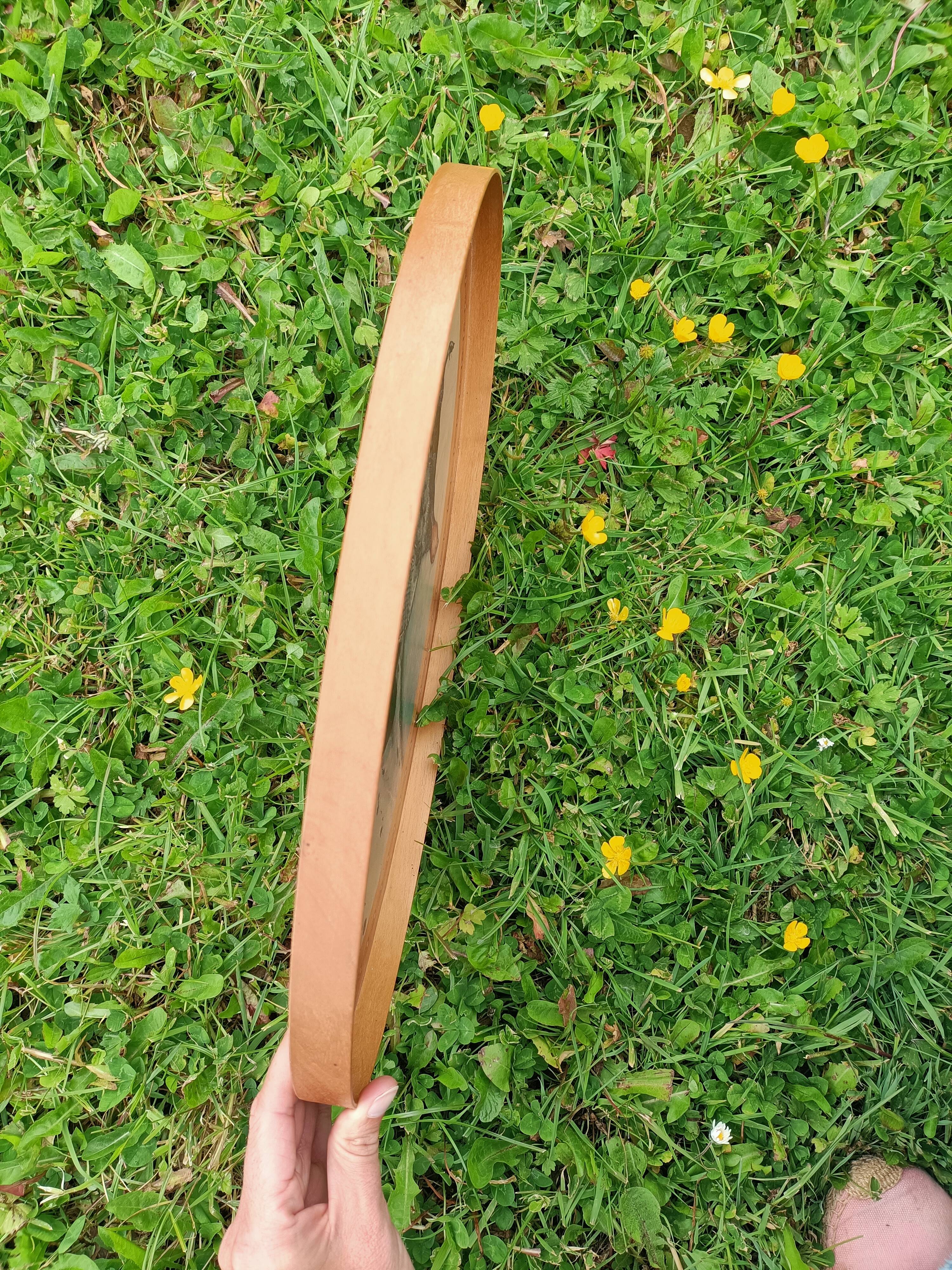 Plateau rétro Chien de Chasse Lithographie de Riab 💐