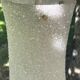 Vintage perspex pendant light