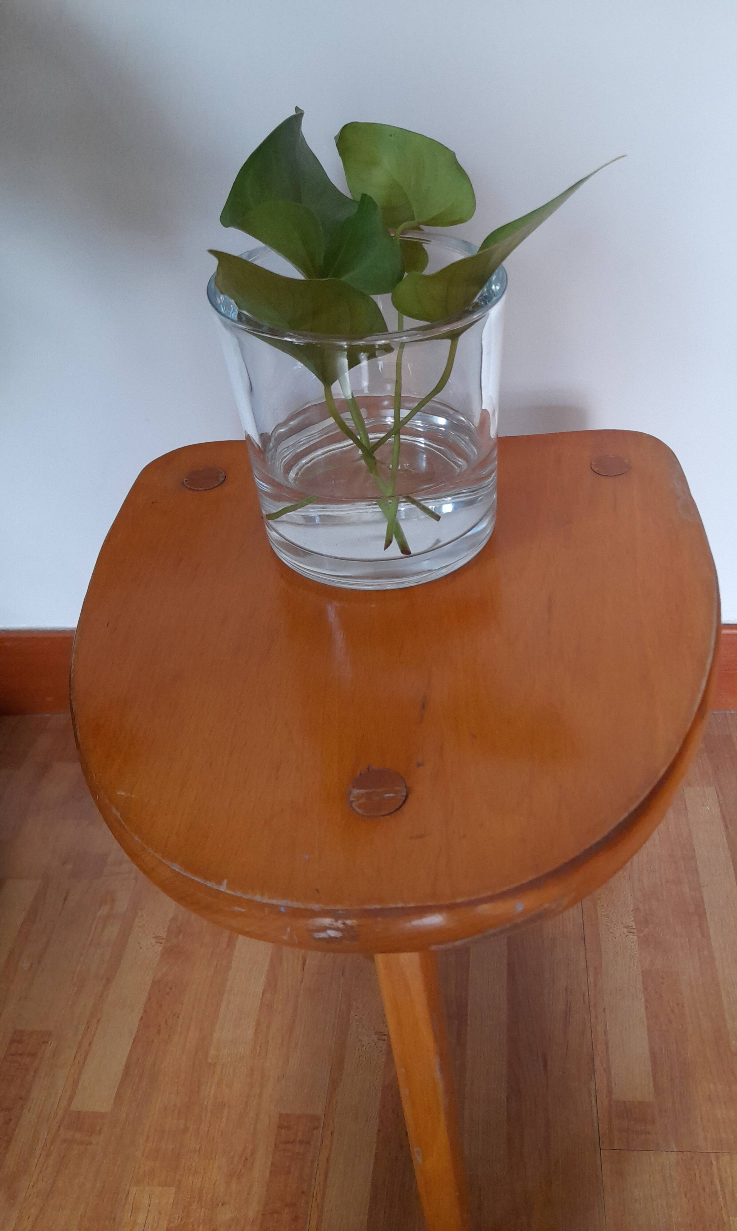 Vintage wooden tripod stool