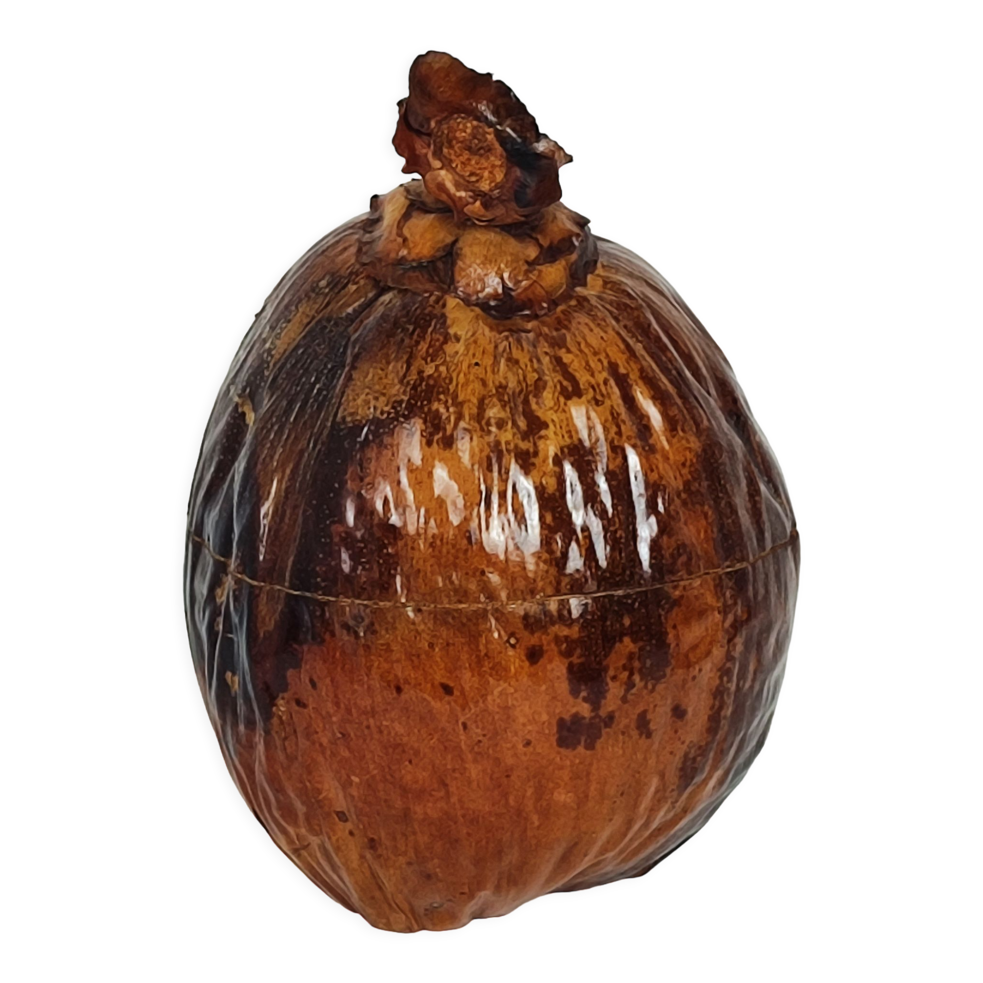Seau à glaçons noix de coco