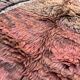Tapis Marocain Boujad coloré - 325 x 181 cm