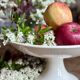 Compote dish or antique footed plate in ironstone - Laval -