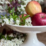 Compote dish or antique footed plate in ironstone - Laval -