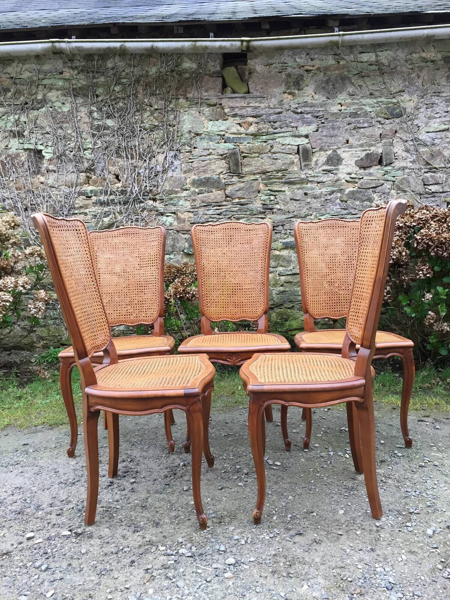 Vintage regency cherry chairs with canned backrests and seats